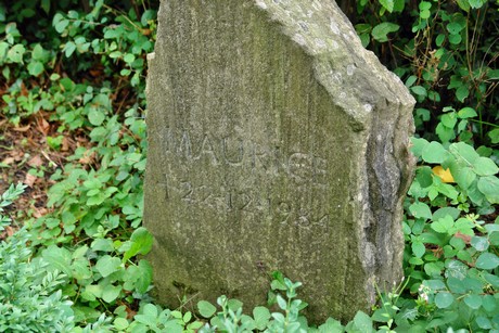 friedhof-loevenich