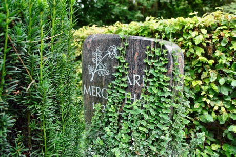 friedhof-loevenich
