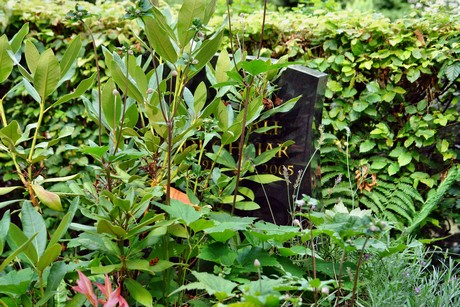friedhof-loevenich