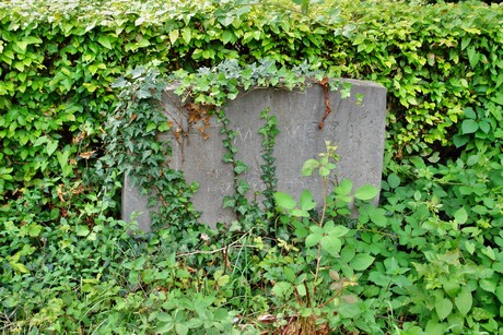 friedhof-loevenich