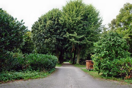 friedhof-loevenich