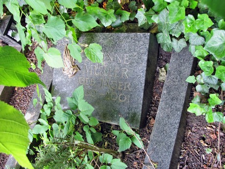 melaten