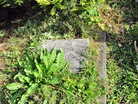 melaten