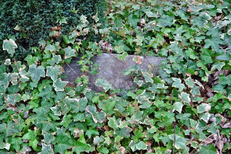 melaten