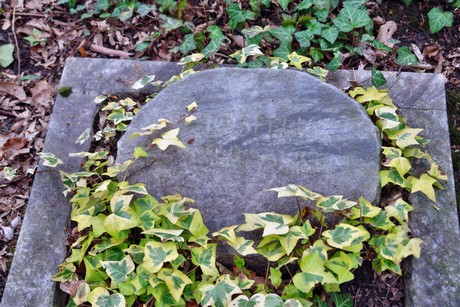 melaten