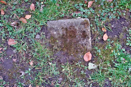 melaten