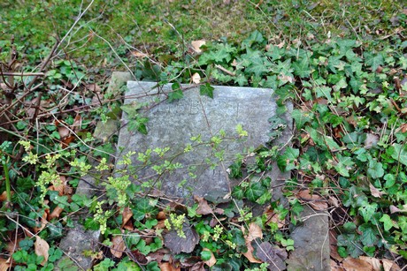melaten