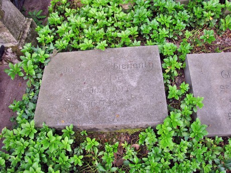 melaten