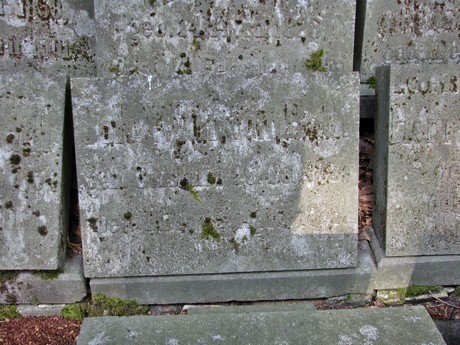 melaten