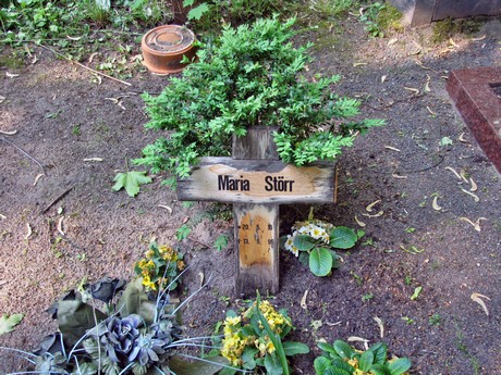 melaten