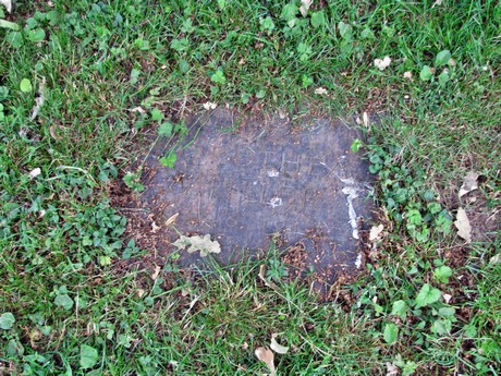 melaten