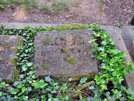 melaten