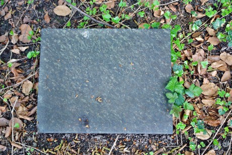 melaten