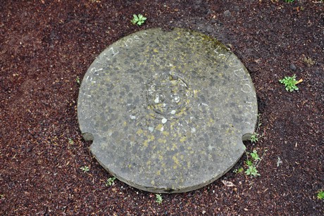 melaten