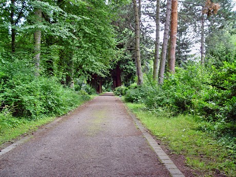 melaten