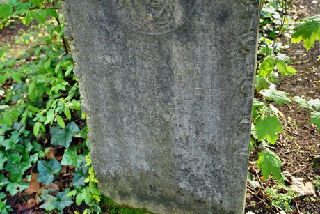 melaten