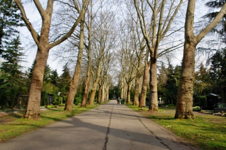 melaten