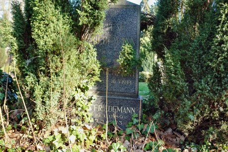 melaten