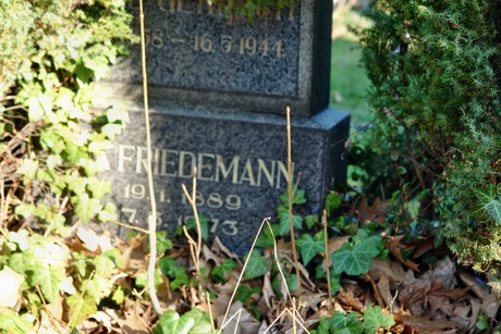 melaten