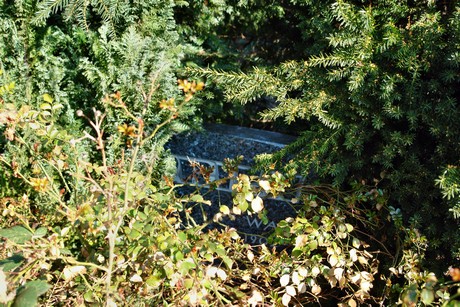 melaten
