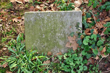 melaten
