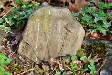melaten