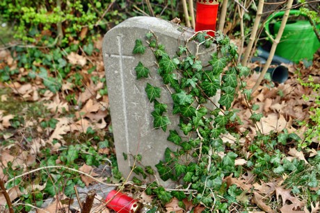melaten