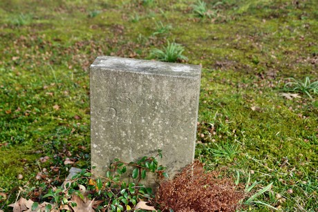 melaten