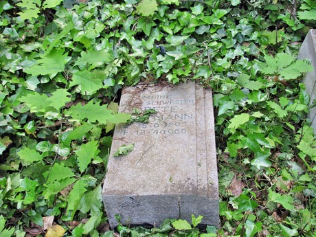 melaten