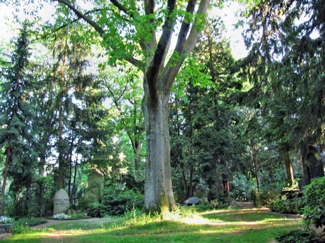 melaten