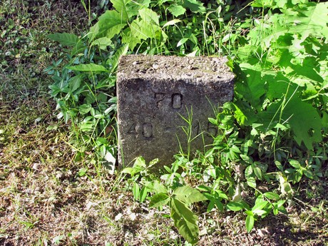 melaten