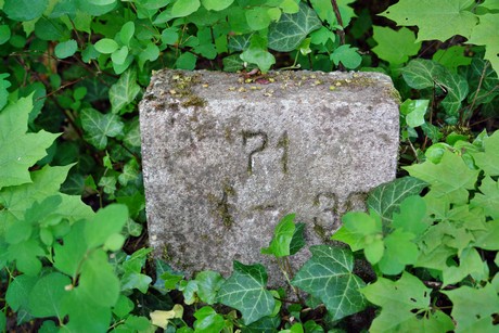 melaten