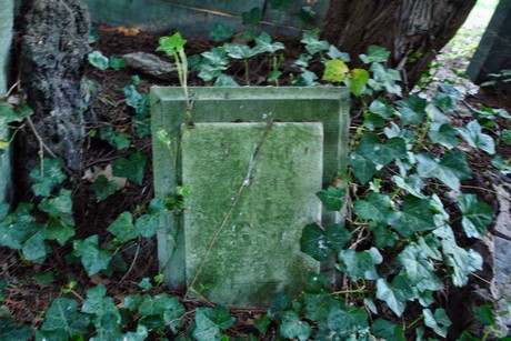melaten