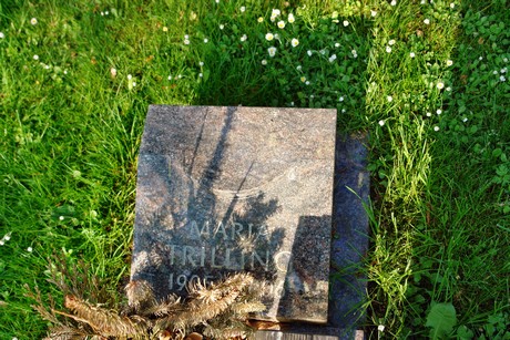 melaten