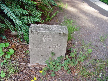 melaten