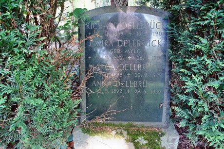 melaten