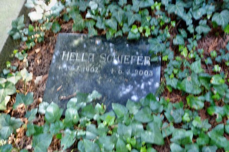 melaten