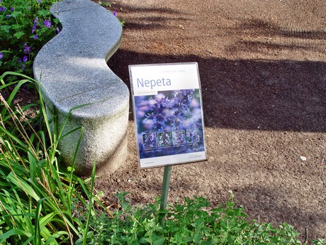 melaten