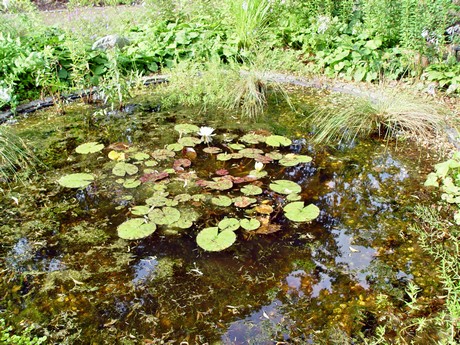 melaten