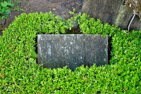 melaten