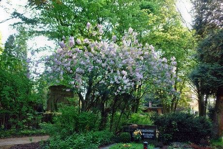 melaten