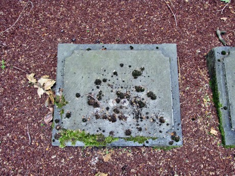 melaten