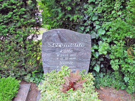 melaten