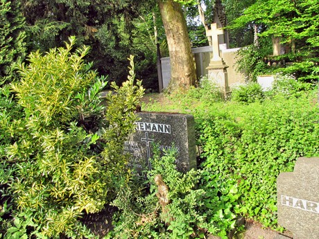 melaten