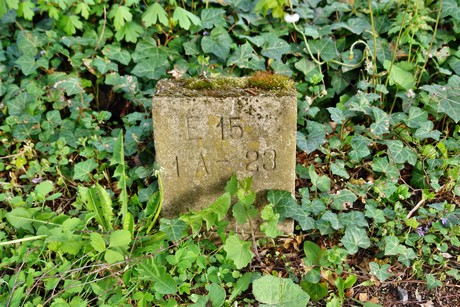 melaten