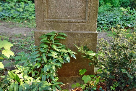 melaten