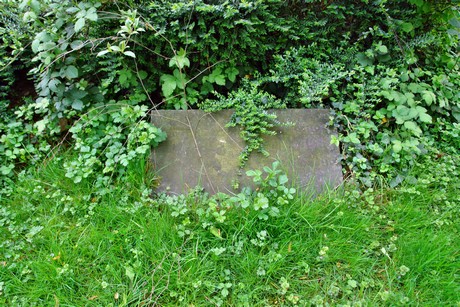 melaten