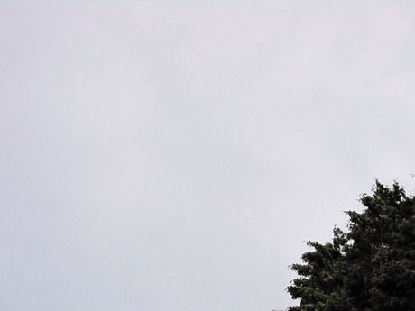 melaten
