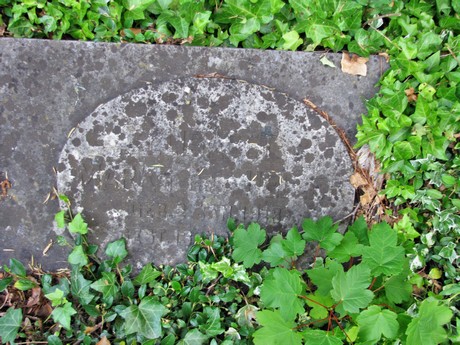 melaten