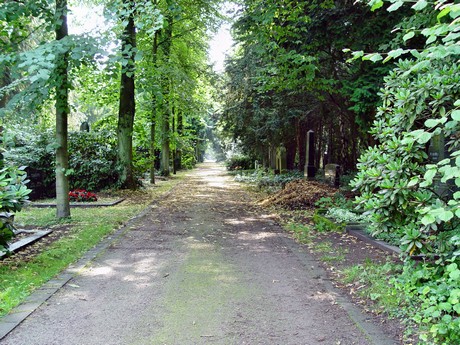 melaten